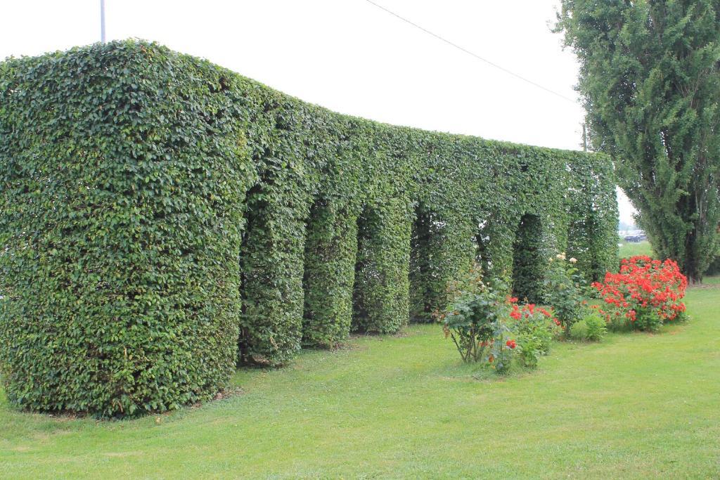 Villa Belvedere 1849 Misano di Gera dʼAdda المظهر الخارجي الصورة